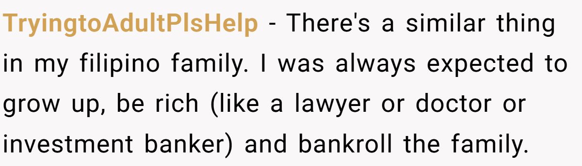 TryingtoAdultPlsHelp − There's a similar thing in my filipino family. I was always expected to grow up, be rich (like a lawyer or doctor or investment banker) and bankroll the family.