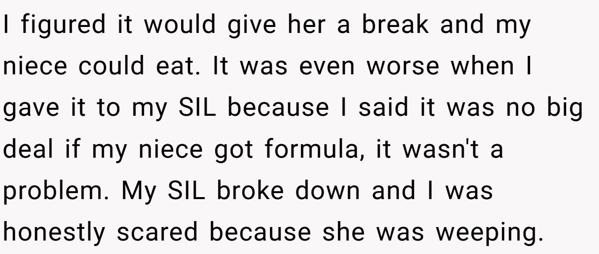 I figured it would give her a break and my niece could eat. It was even worse when I gave it to my SIL because I said it was no big deal if my niece got formula, it wasn't a problem. My SIL broke down and I was honestly scared because she was weeping.