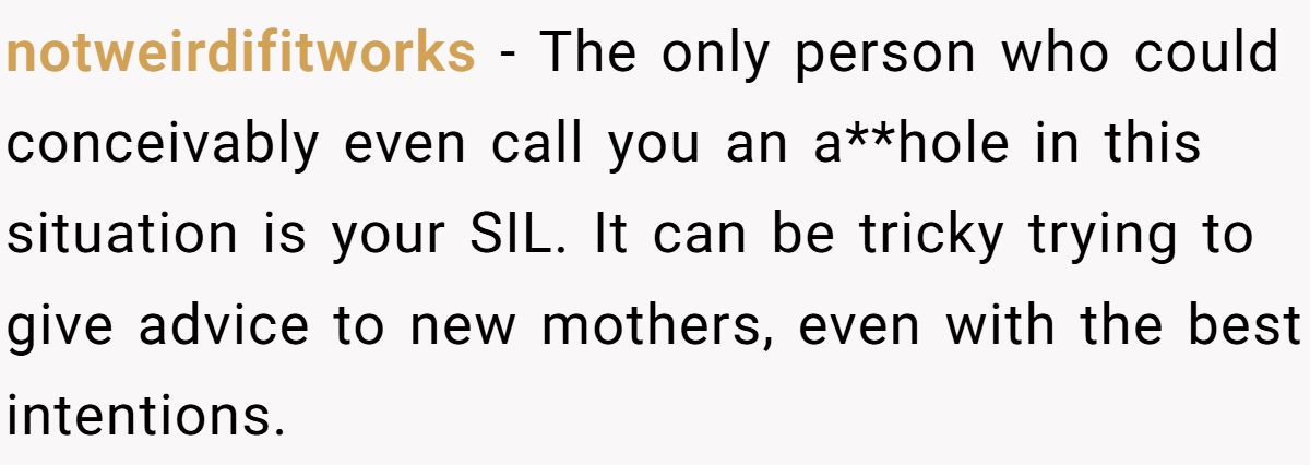 notweirdifitworks − The only person who could conceivably even call you an a**hole in this situation is your SIL. It can be tricky trying to give advice to new mothers, even with the best intentions.
