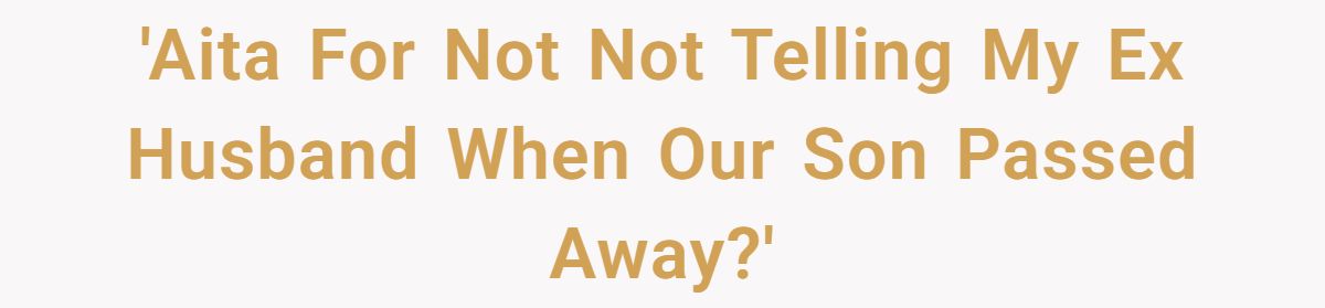 'Aita For Not Not Telling My Ex Husband When Our Son Passed Away?'