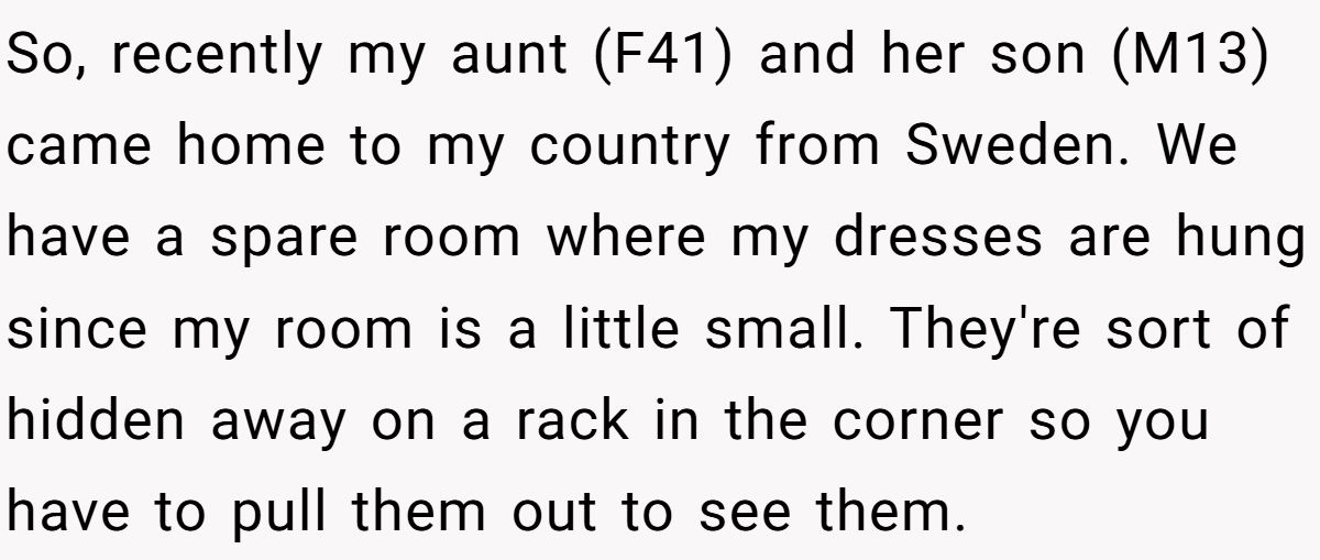 So, recently my aunt (F41) and her son (M13) came home to my country from Sweden. We have a spare room where my dresses are hung since my room is a little small. They're sort of hidden away on a rack in the corner so you have to pull them out to see them.
