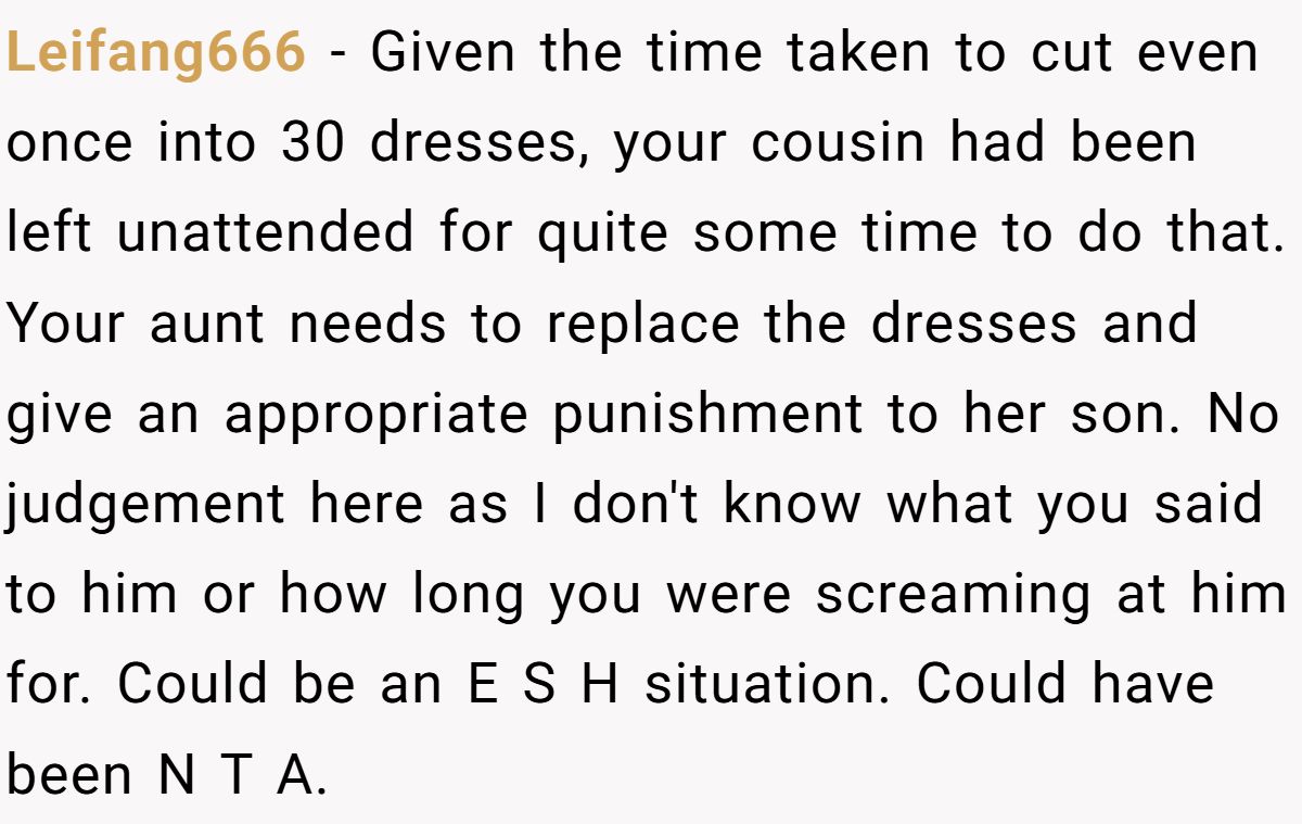 Leifang666 − Given the time taken to cut even once into 30 dresses, your cousin had been left unattended for quite some time to do that. Your aunt needs to replace the dresses and give an appropriate punishment to her son. No judgement here as I don't know what you said to him or how long you were screaming at him for. Could be an E S H situation. Could have been N T A.