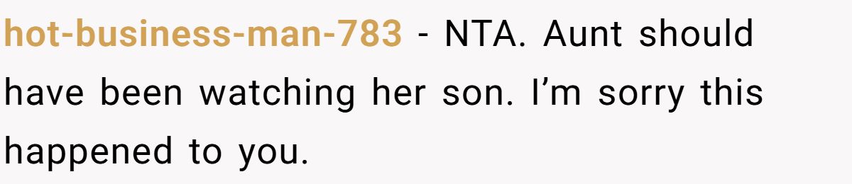 hot-business-man-783 − NTA. Aunt should have been watching her son. I’m sorry this happened to you.