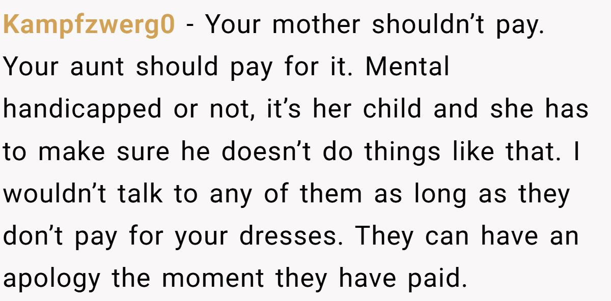 Kampfzwerg0 − Your mother shouldn’t pay. Your aunt should pay for it. Mental handicapped or not, it’s her child and she has to make sure he doesn’t do things like that. I wouldn’t talk to any of them as long as they don’t pay for your dresses. They can have an apology the moment they have paid.