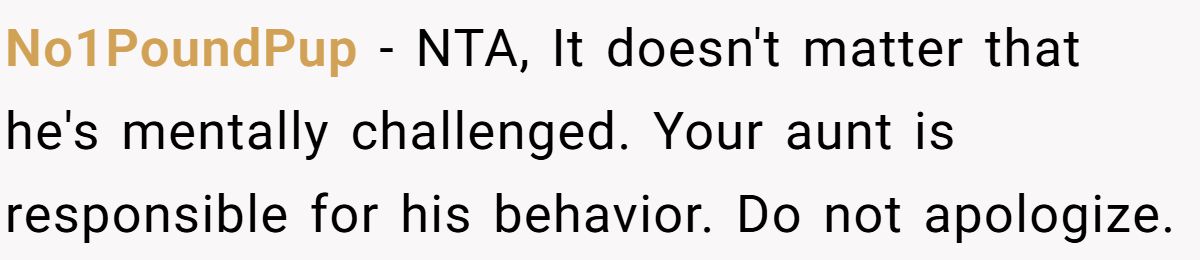 No1PoundPup − NTA, It doesn't matter that he's mentally challenged. Your aunt is responsible for his behavior. Do not apologize.