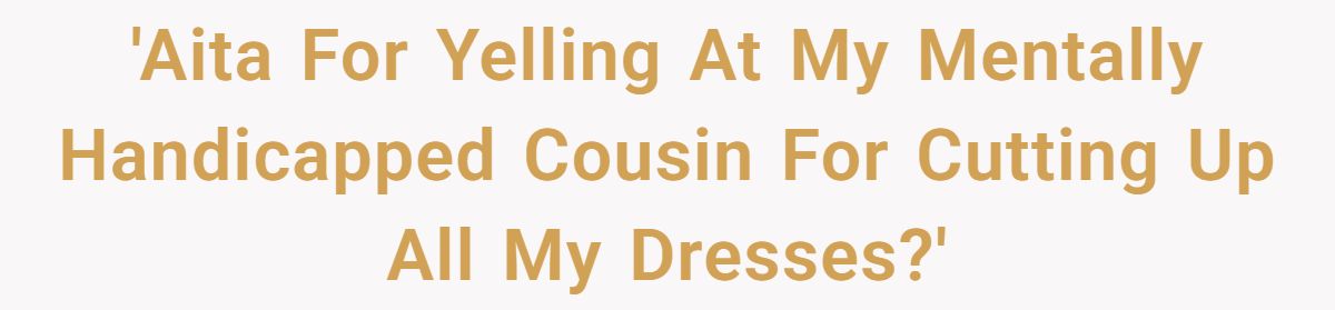 'Aita For Yelling At My Mentally Handicapped Cousin For Cutting Up All My Dresses?'
