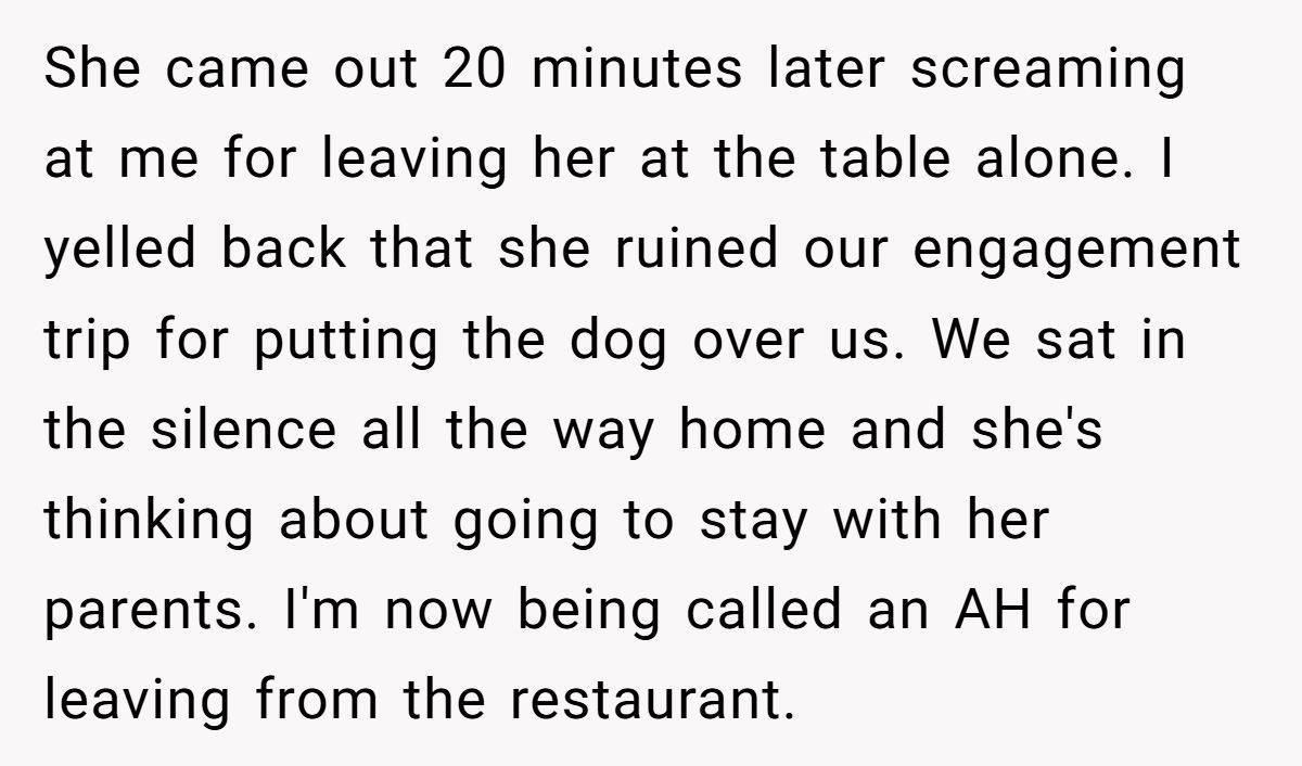 Man Walks Out Of Engagement Dinner After Fiancée Can’t Stop Texting About Her Dog Generated by Aubtu.biz