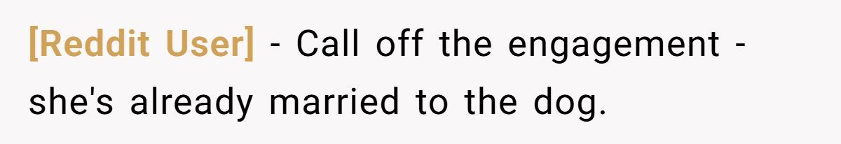 Man Walks Out Of Engagement Dinner After Fiancée Can’t Stop Texting About Her Dog Generated by Aubtu.biz