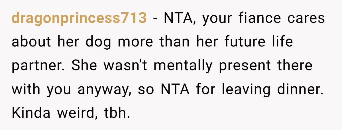 Man Walks Out Of Engagement Dinner After Fiancée Can’t Stop Texting About Her Dog Generated by Aubtu.biz