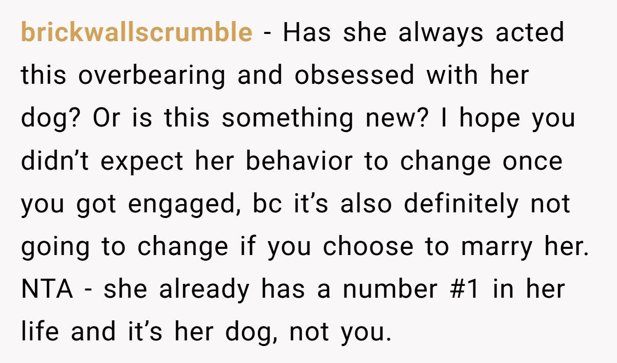 Man Walks Out Of Engagement Dinner After Fiancée Can’t Stop Texting About Her Dog Generated by Aubtu.biz