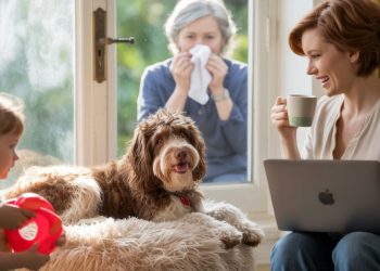 Man Brings Home A Rescue Dog For His Wife—Now Mother-In-Law Says He’s Using It To Keep Her From Her Grandkids