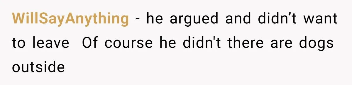 She Risked Her Life to Save His Niece from a Pitbull - While Her Husband Ran Away and Shut the Gate Behind Him