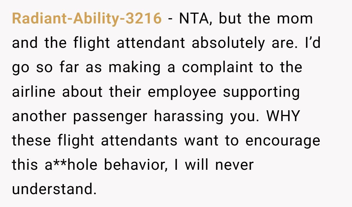 Woman Called Selfish For Refusing To Give Up Her Paid Extra Seat To A Toddler Just Because She’s Fat Generated by Aubtu.biz