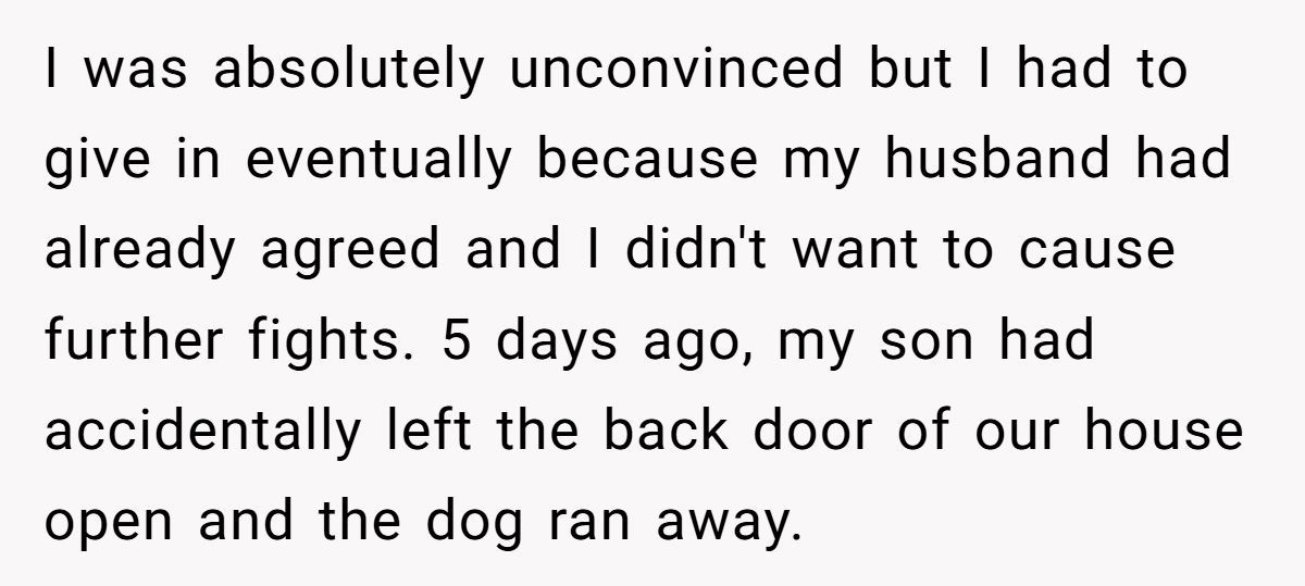 Woman Throws Away Husband’s Xbox After He Refuses To Help Their Son Search For Missing Dog Generated by Aubtu.biz