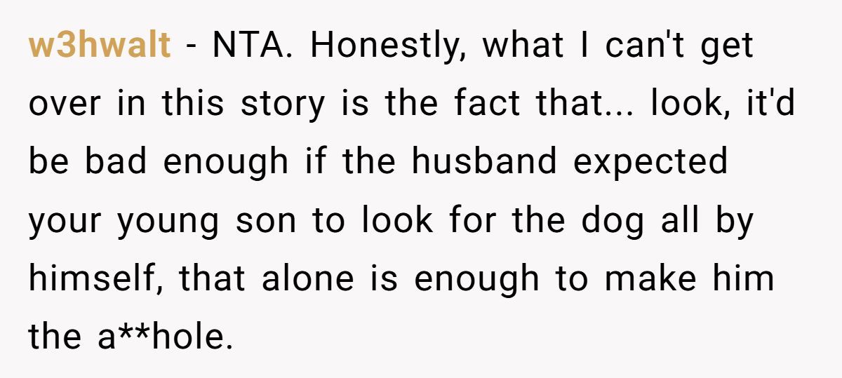 Woman Throws Away Husband’s Xbox After He Refuses To Help Their Son Search For Missing Dog Generated by Aubtu.biz