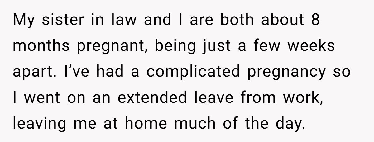 Pregnant Woman Refuses To Babysit Niece So She Can Go To Her Own Appointment—SIL Says She's Selfish Generated by Aubtu.biz
