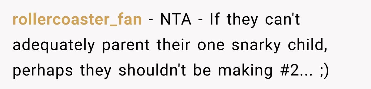 Pregnant Woman Refuses To Babysit Niece So She Can Go To Her Own Appointment—SIL Says She's Selfish Generated by Aubtu.biz
