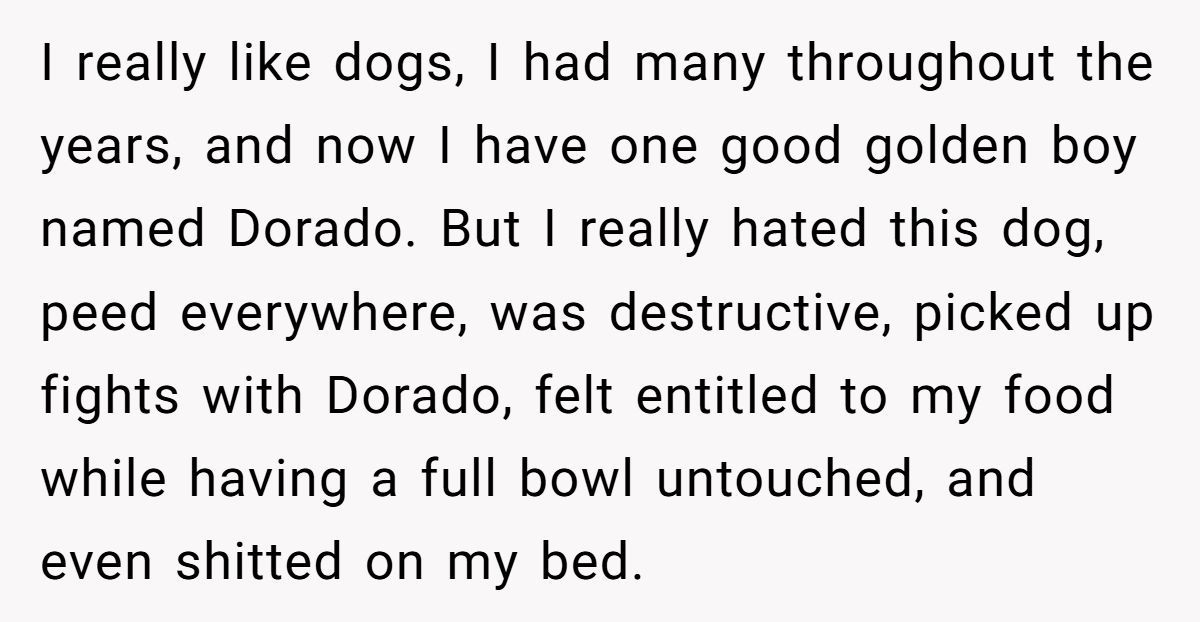 Generated by Aubtu.biz 