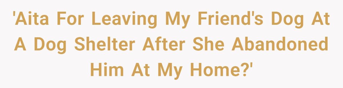 Generated by Aubtu.biz 