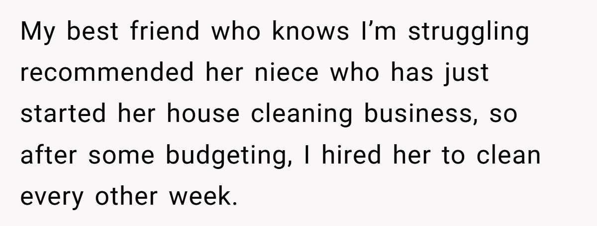 Mom Hires Cleaner To Help During Tough Times But Cleaner Refuses To Clean ‘Kid Messes’ And Complains Instead Generated by Aubtu.biz