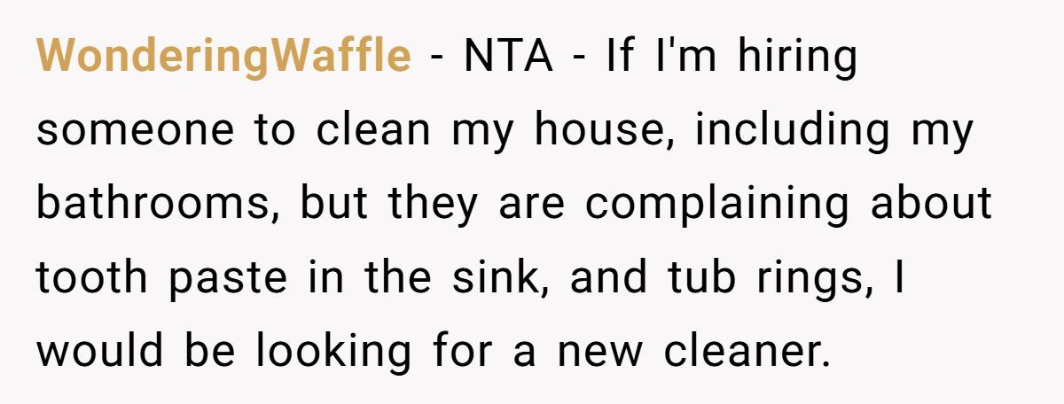 Mom Hires Cleaner To Help During Tough Times But Cleaner Refuses To Clean ‘Kid Messes’ And Complains Instead Generated by Aubtu.biz