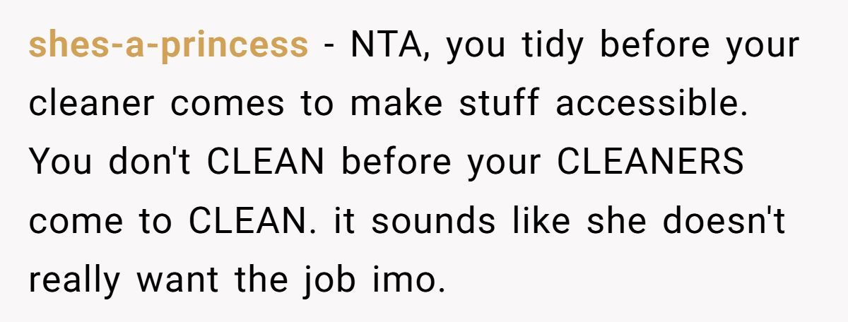 Mom Hires Cleaner To Help During Tough Times But Cleaner Refuses To Clean ‘Kid Messes’ And Complains Instead Generated by Aubtu.biz