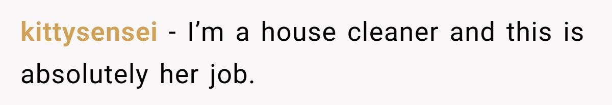 Mom Hires Cleaner To Help During Tough Times But Cleaner Refuses To Clean ‘Kid Messes’ And Complains Instead Generated by Aubtu.biz