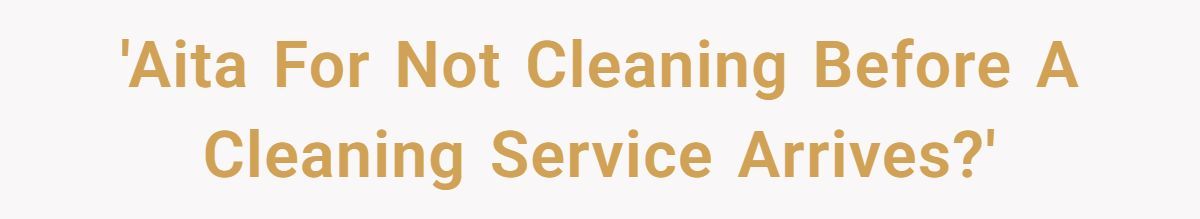 Mom Hires Cleaner To Help During Tough Times But Cleaner Refuses To Clean ‘Kid Messes’ And Complains Instead Generated by Aubtu.biz