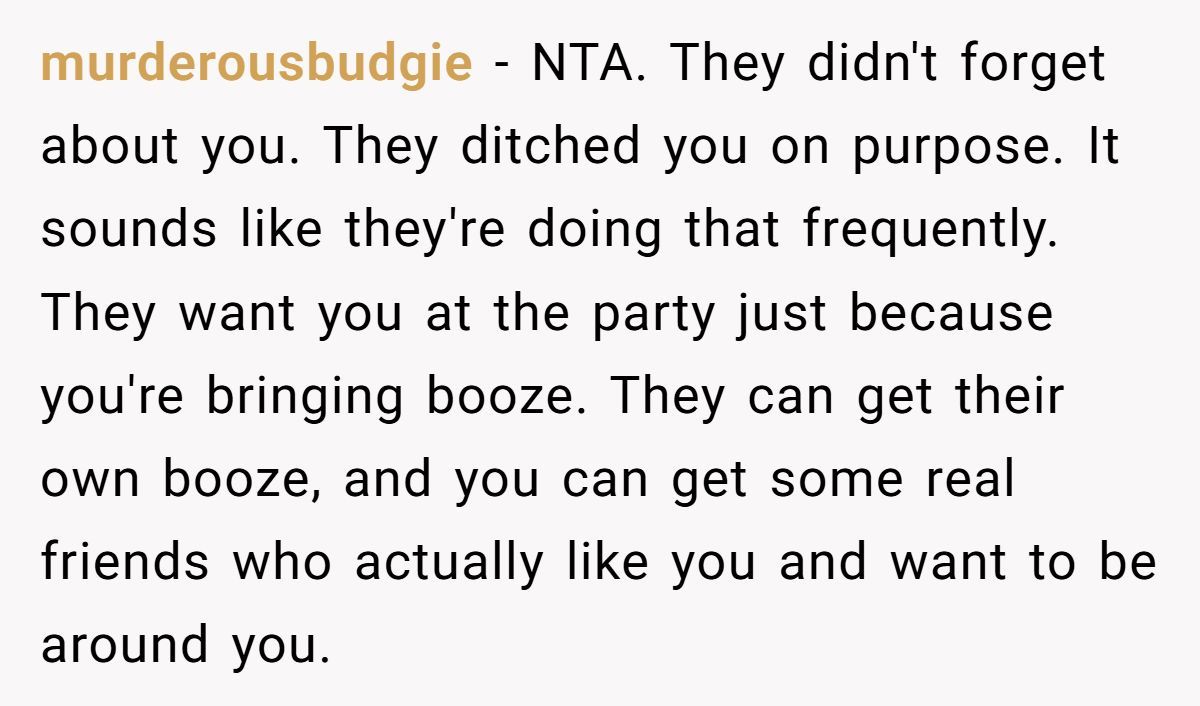Woman Cancels Her NYE Party Plans Last-Minute After Being Left Out By Friends Again And Again Generated by Aubtu.biz