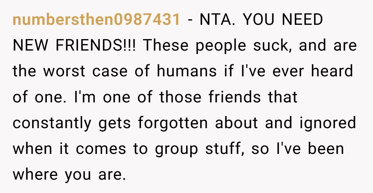 Woman Cancels Her NYE Party Plans Last-Minute After Being Left Out By Friends Again And Again Generated by Aubtu.biz
