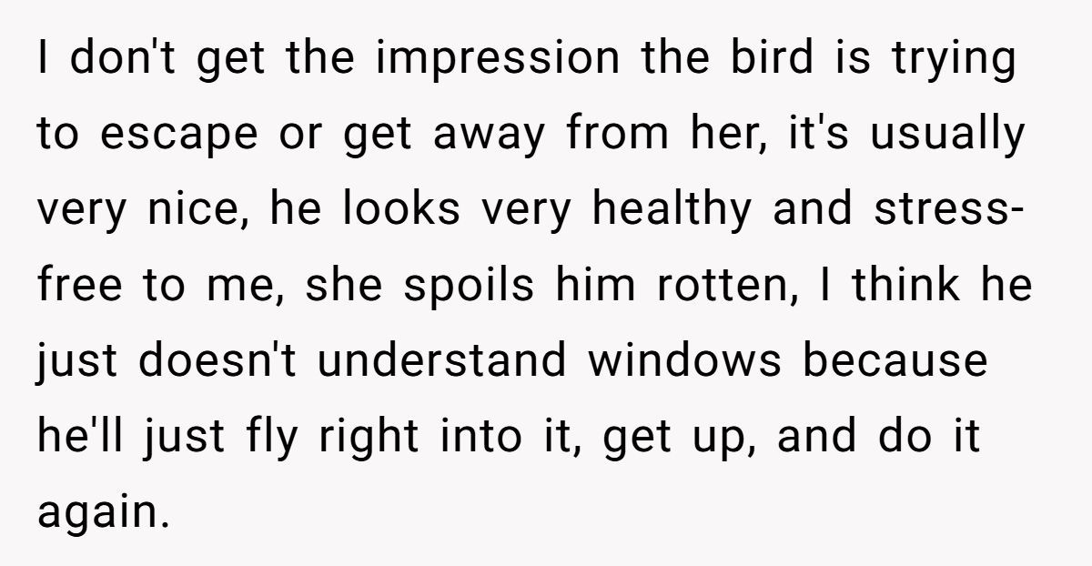 Generated by Aubtu.biz 