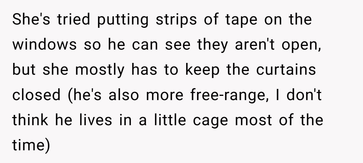 Generated by Aubtu.biz 