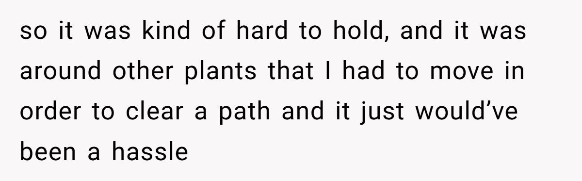 Generated by Aubtu.biz 