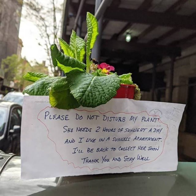 Tenant Kills Neighbor’s Plants And Leaves Pots With No Regrets After She Refuses To Move Them From Their Balcony