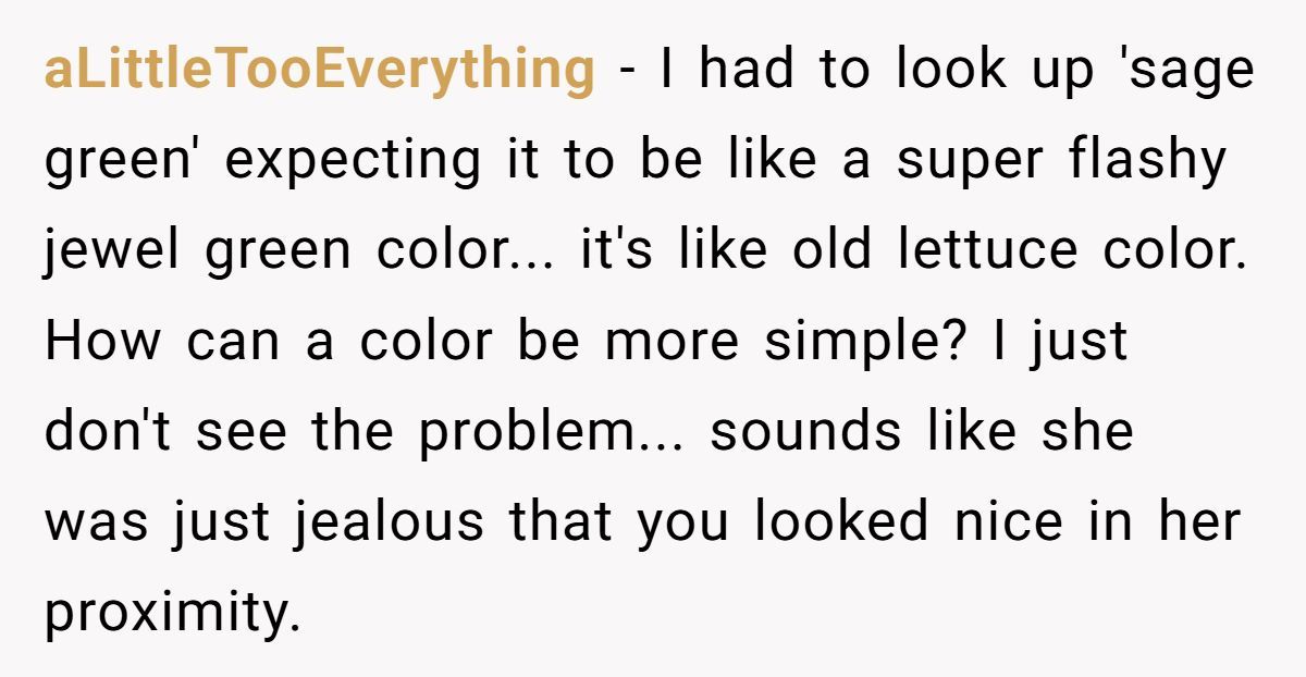 Bride Accuses Teen Guest Of “Stealing The Spotlight” In Sage Green Dress, Demands Her Wear A Baggy Black Sack Or Leave Wedding Generated by Aubtu.biz