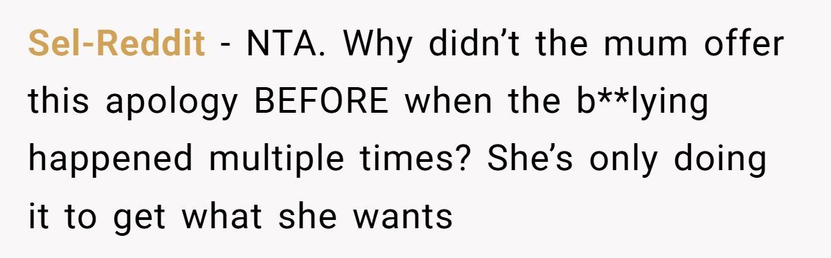 Mother Refuses To Invite Daughter’s Unkind Classmate To Party, Faces Accusations Of Acting The Same Way Generated by Aubtu.biz