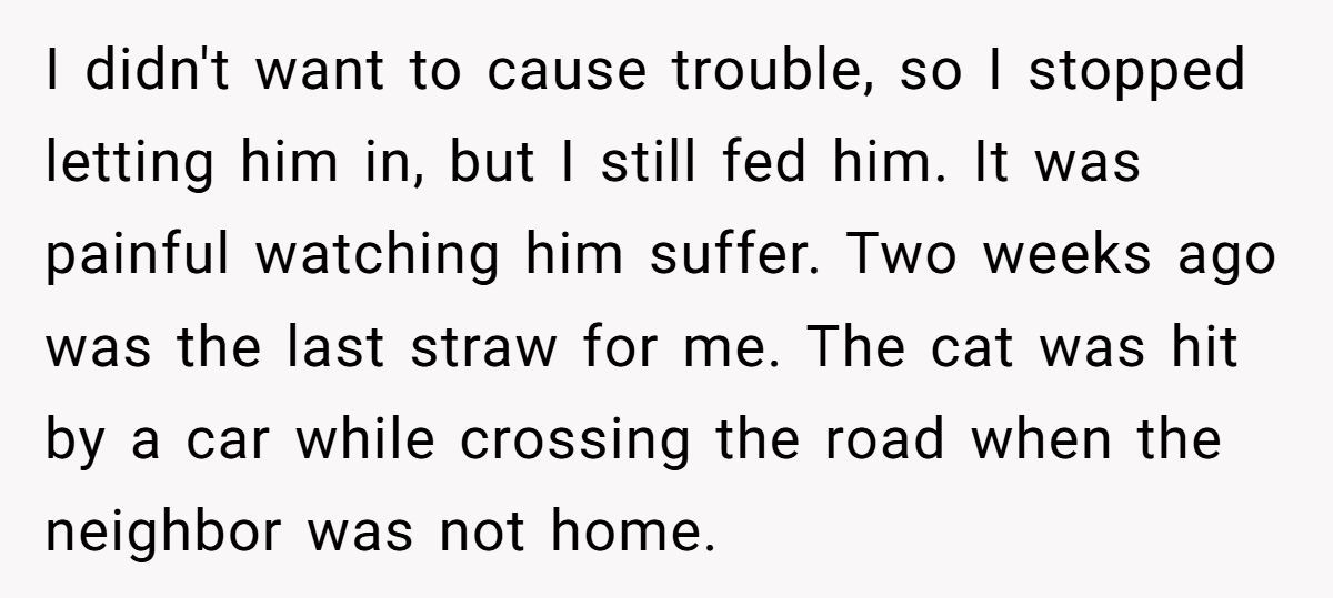 Generated by Aubtu.biz 