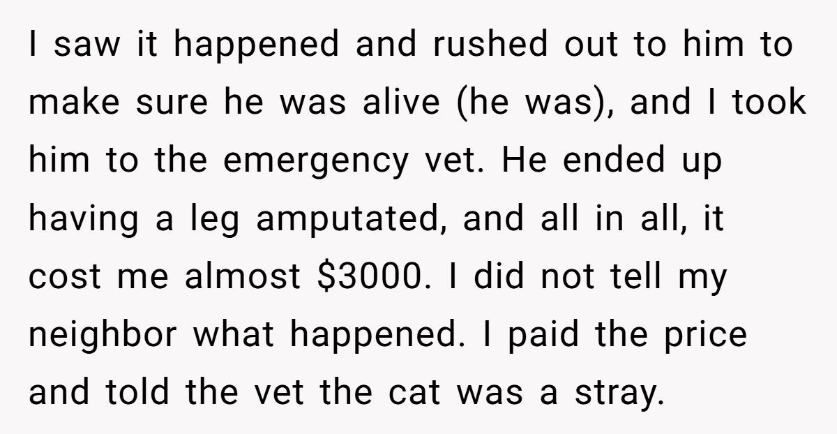 Generated by Aubtu.biz 