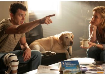 Mom Paid $15K for Her Dog’s ACL Surgery - But Refuses to Pay for Her Son’s Mom Paid $15K for Her Dog’s ACL Surgery – But Refuses to Pay for Her Son’s