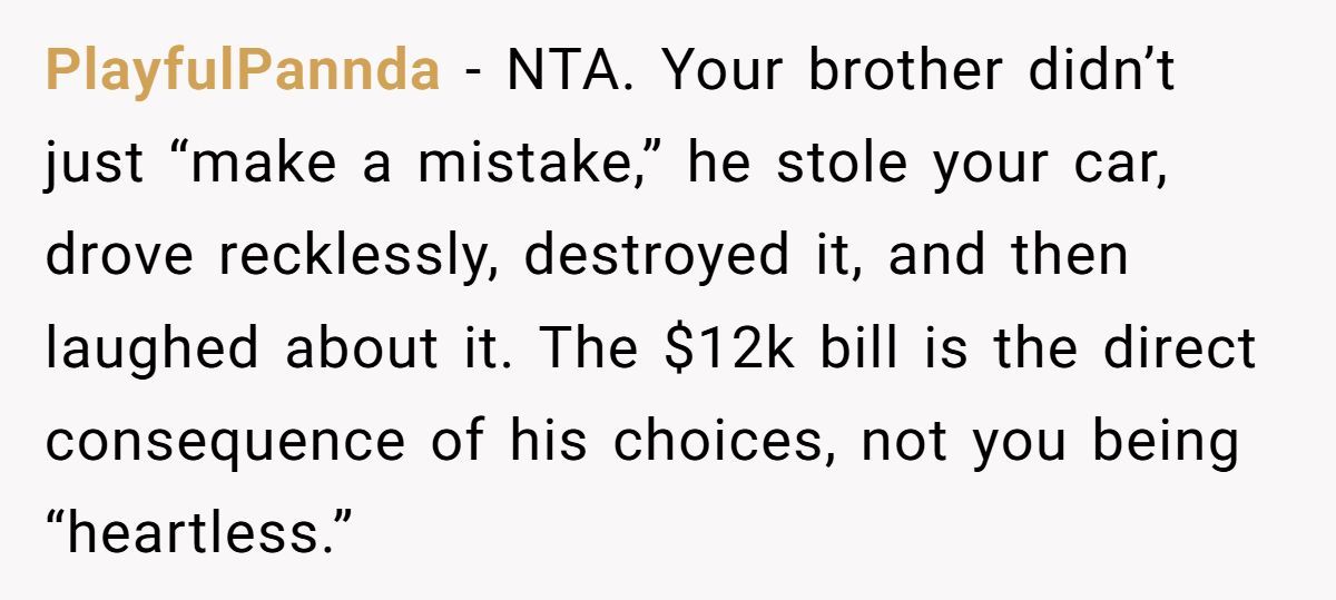 Woman Sends Brother $12K Bill After He Steals And Wrecks Her Dream Car Generated by Aubtu.biz