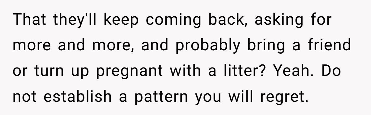 Generated by Aubtu.biz 