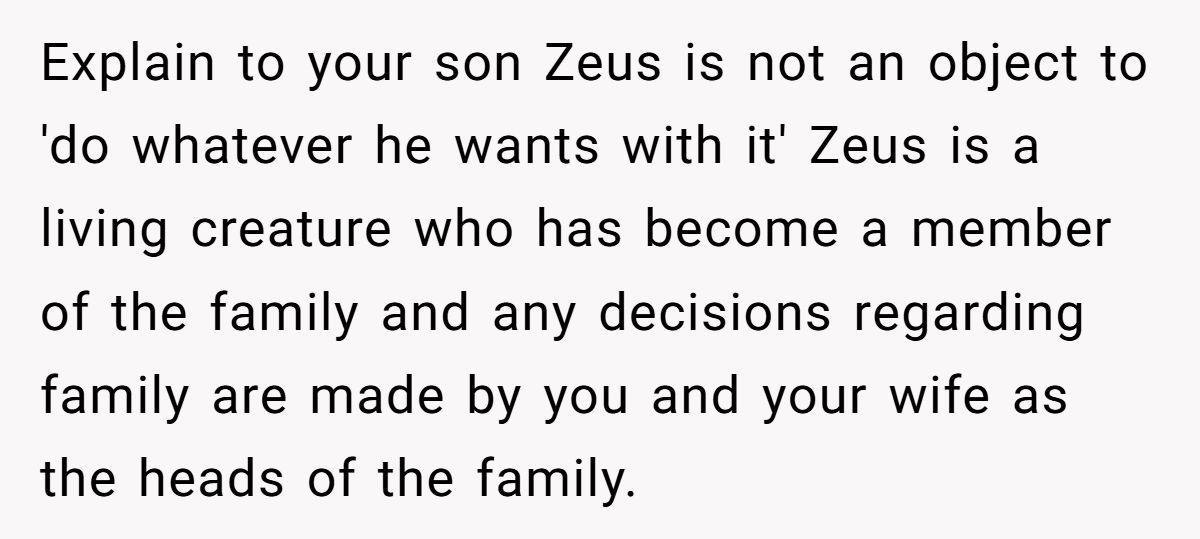 Generated by Aubtu.biz 