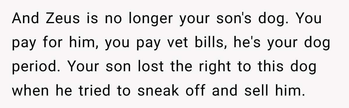 Generated by Aubtu.biz 