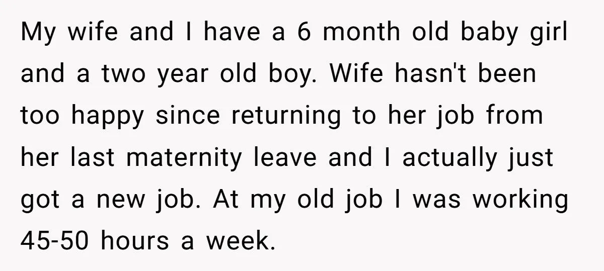 Husband Refuses 50/50 Chores If Wife Quits Job To Stay Home With Kids Generated by Aubtu.biz