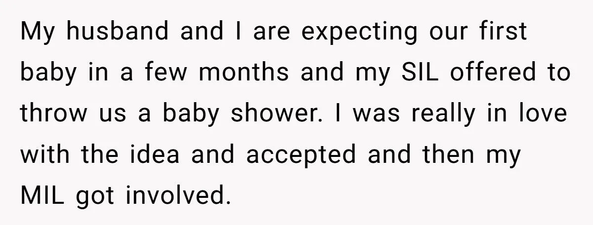 Pregnant Woman Refuses Baby Shower When SIL Tries To “Reunite” Her With Family That Abandoned Her Generated by Aubtu.biz