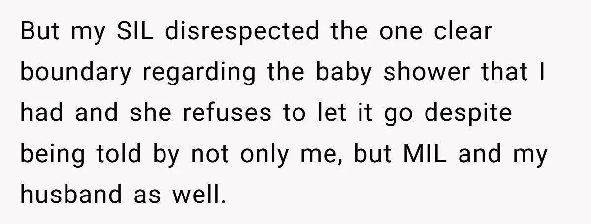 Pregnant Woman Refuses Baby Shower When SIL Tries To “Reunite” Her With Family That Abandoned Her Generated by Aubtu.biz