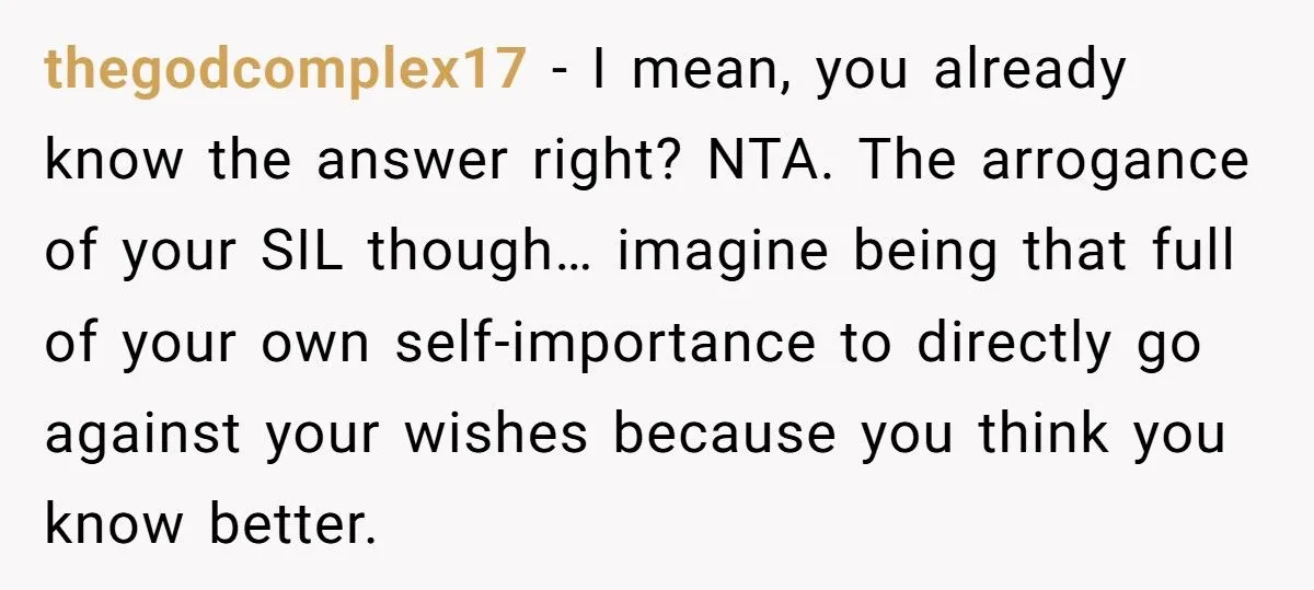 Pregnant Woman Refuses Baby Shower When SIL Tries To “Reunite” Her With Family That Abandoned Her Generated by Aubtu.biz