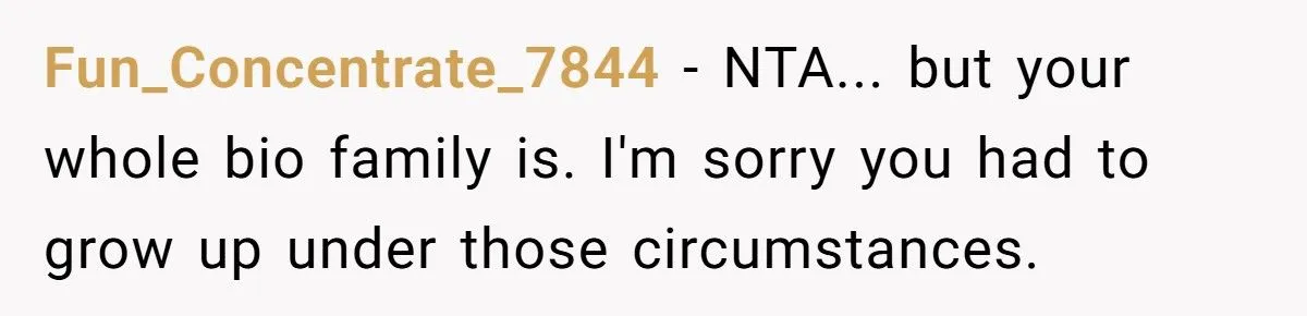 Pregnant Woman Refuses Baby Shower When SIL Tries To “Reunite” Her With Family That Abandoned Her Generated by Aubtu.biz