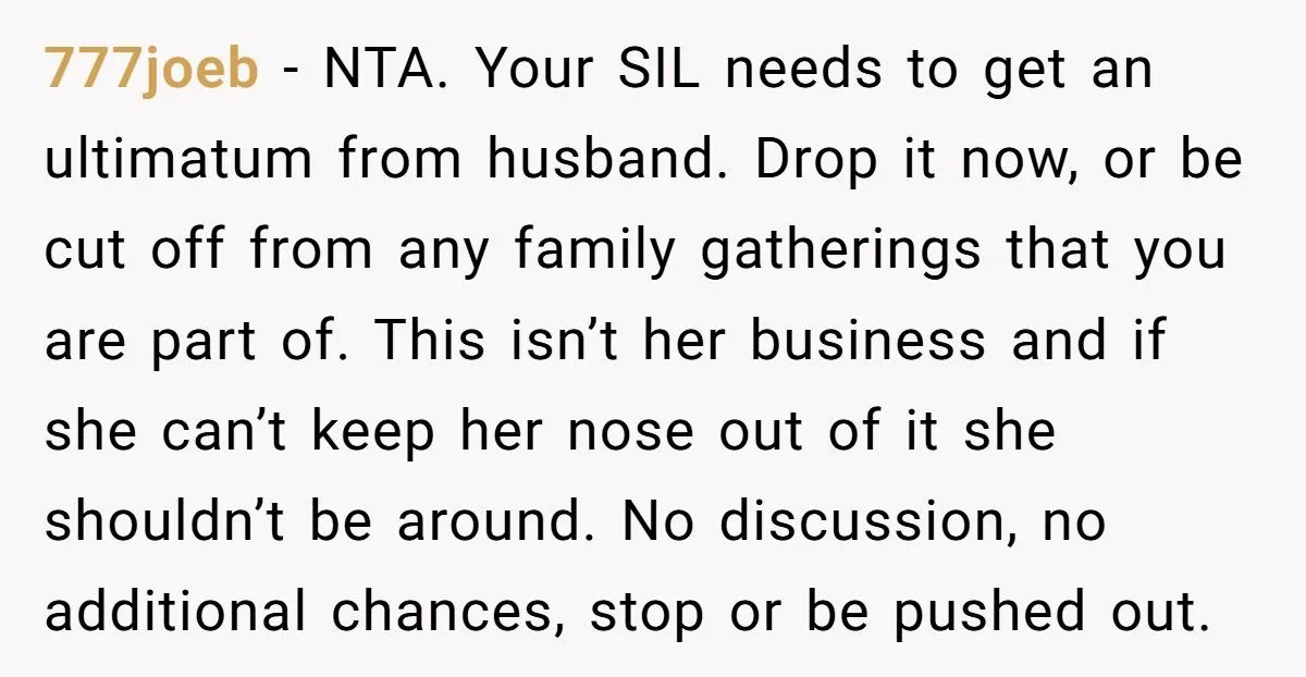 Pregnant Woman Refuses Baby Shower When SIL Tries To “Reunite” Her With Family That Abandoned Her Generated by Aubtu.biz