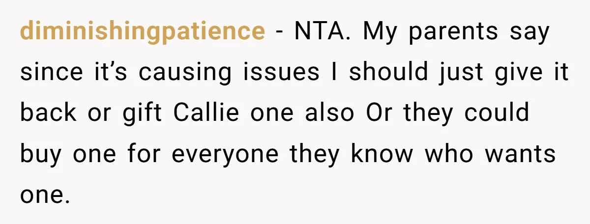 Mom Refuses To Return Daughter’s Birthday Car After Sister Demands It For Her Own Child Generated by Aubtu.biz